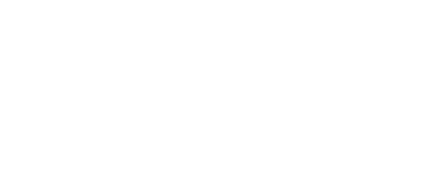 Saras Analytics