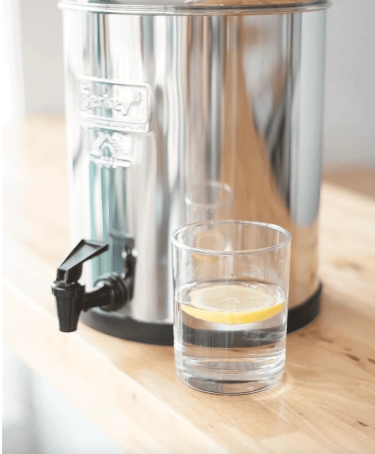 Berkey Filters site screens showing Anatta's services