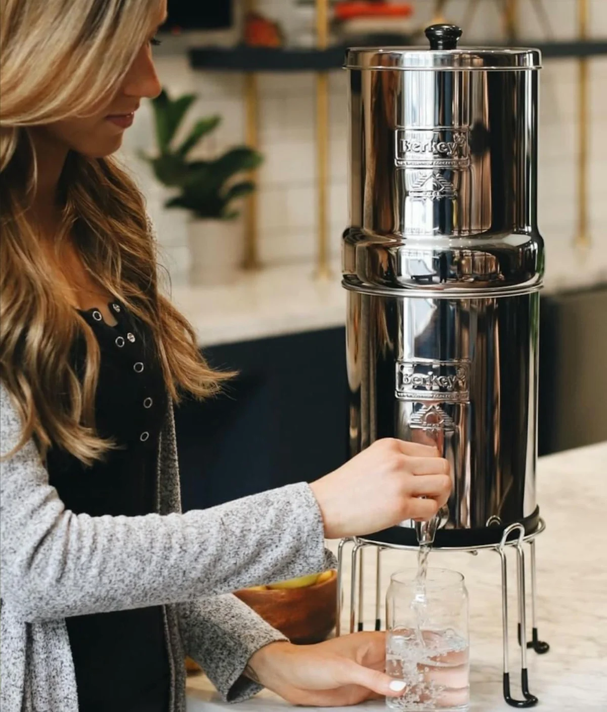 Berkey Filters website roadmap