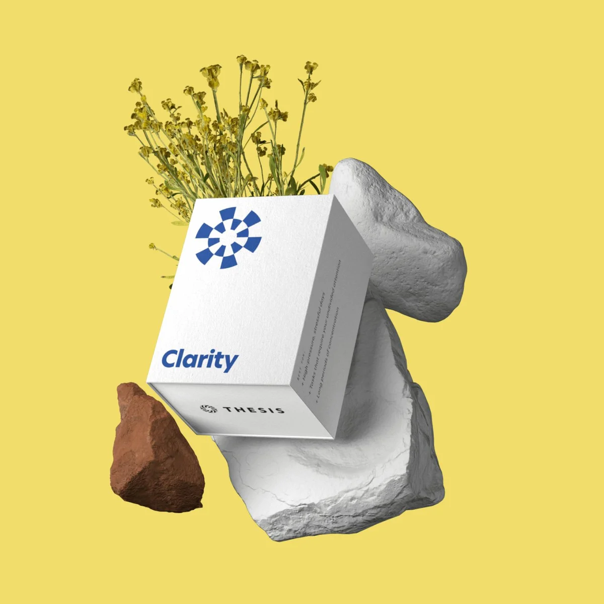 Thesis D2C brand imagery